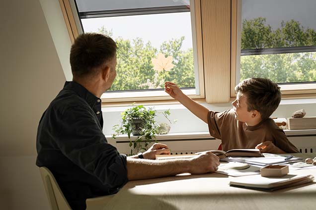 Střešní okna VELUX